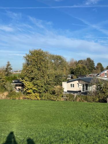 a field of green grass with houses in the background at Nieuwe Beachbungalow aan IJsselmeer 39 24 four seasons in Lemmer