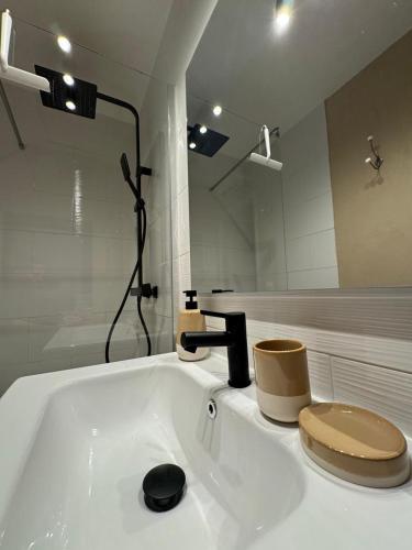 a bathroom with a sink with a shower and a toilet at Chez Marie & Nico in Aigues-Mortes