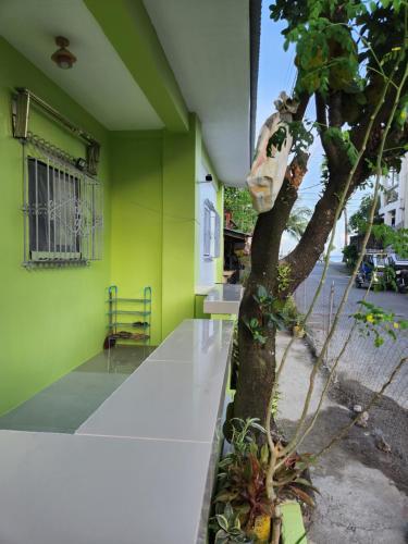 ein Baum vor einem grünen Gebäude in der Unterkunft Real House in Real