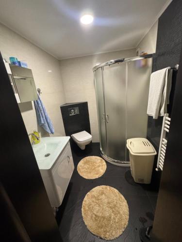a bathroom with a shower and a toilet and a sink at Luxury House LUXIMMO in Lyetnitsa