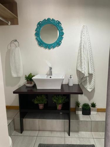 a bathroom with a sink and a mirror on the wall at Magalies B&B LANGENHOVENPARK in Universitas