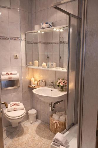 a bathroom with a sink and a toilet and a shower at Burghof Hotel in Schwarzatal