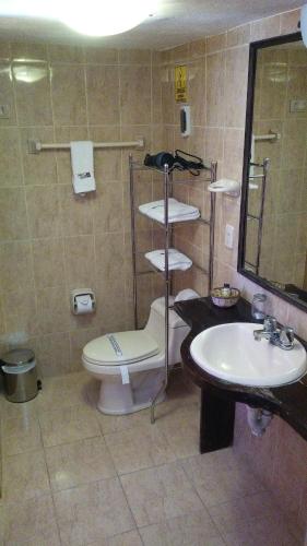 a bathroom with a toilet and a sink at Pozo del Cielo in Chivay