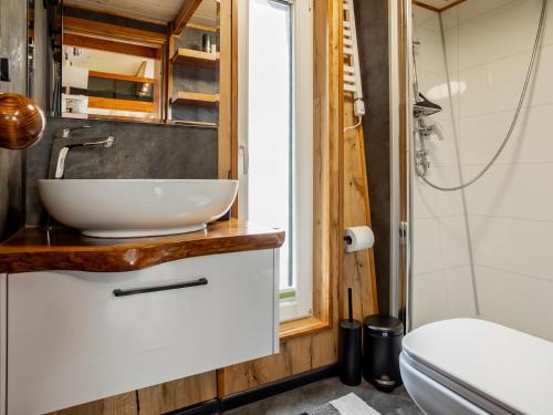 ein Badezimmer mit Waschbecken und Toilette in der Unterkunft Tiny House - Rolling Tiny - Wanderfalke in Groß Kordshagen