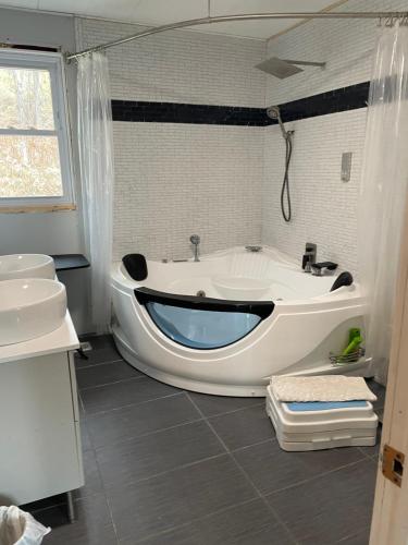 a bathroom with a large tub and a sink at Catskill Mountain Retreat in West Kill
