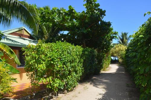 a dirt road next to a house with bushes at Fare Maheata in Pihaena