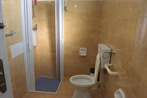a bathroom with a shower and a toilet in it at Villa Alessandro in Poggiardo
