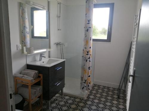 a bathroom with a sink and a shower at Le clos des vaches in Usson-du-Poitou