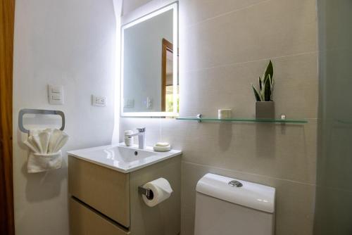 a bathroom with a sink and a toilet and a mirror at Pro Cab Apartment - Washer - BBQ in Cabarete