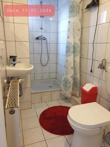 a bathroom with a toilet and a shower and a sink at Monteurwohnung bei Nina in Zeitz