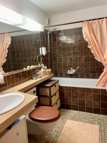 a bathroom with a toilet and a sink and a tub at Small bijoux Disentiserhof in Disentis