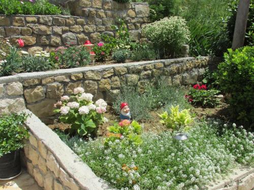 a garden with a bird in a stone wall at Apartmani Roza Lopar in Lopar