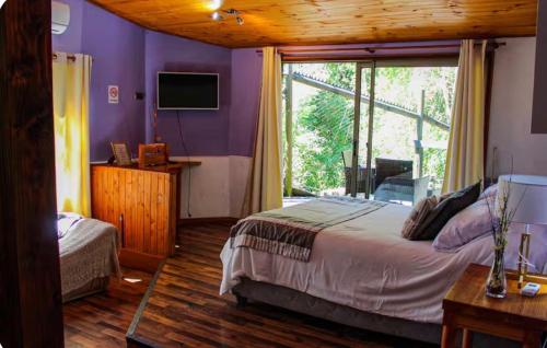 a bedroom with purple walls and a bed with a window at Estero El Claro Hotel y Cabañas in Pucón
