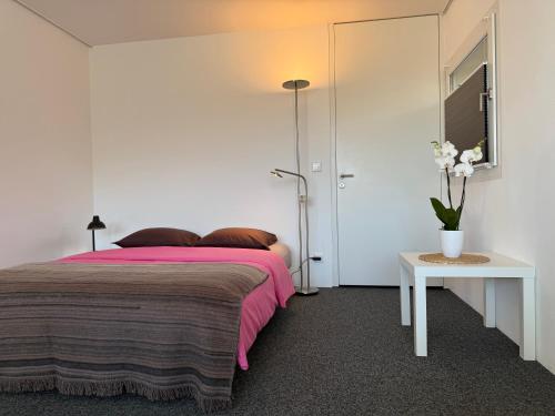 a bedroom with a pink bed and a table at Ferienwohnung Biendi in Trimmis