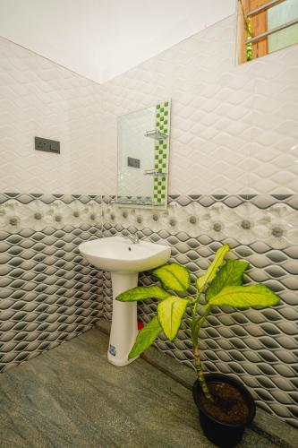 a bathroom with a sink and a potted plant at Enu Homestay in Dickwella