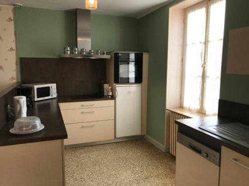a kitchen with green walls and a white refrigerator at La forge de louis in Saint-Macoux