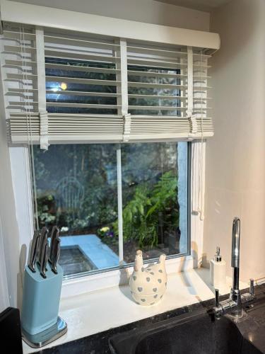 a kitchen counter with a window and a sink at Blue Sky Cottage in Matlock