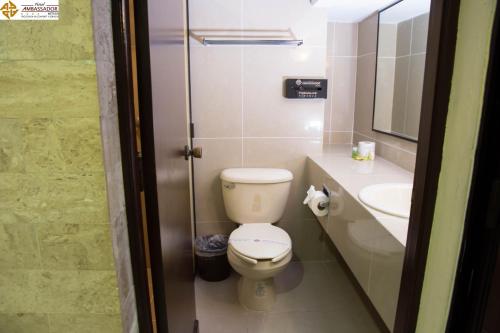 a bathroom with a toilet and a sink at Hotel Ambassador Mérida in Mérida