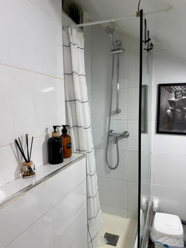 Studio in the Center of Madrid