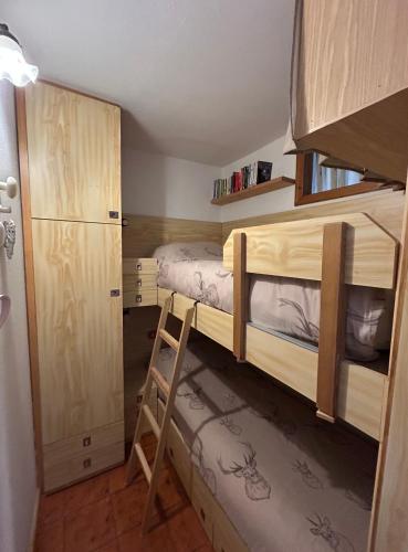 a small bedroom with a bunk bed and a ladder at Casa Chigi in Valdidentro