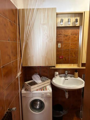 a small bathroom with a washing machine and a sink at Casa Chigi in Valdidentro