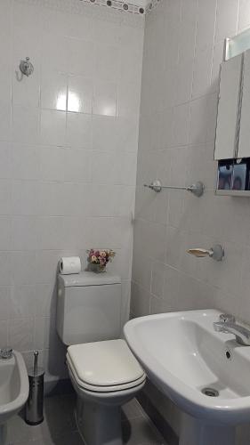 a white bathroom with a toilet and a sink at Mirador de Nieva in San Salvador de Jujuy