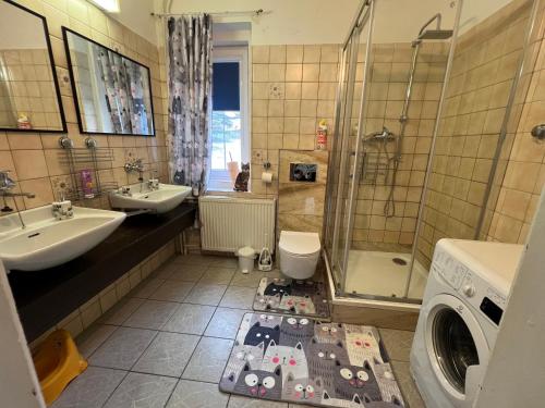 a bathroom with a lego train rug on the floor at Apartmány U Kocoura pod Klínovcem in Kovářská