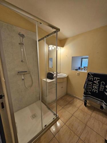 a bathroom with a shower and a sink at Gîte de la vacherie in Port de Salles