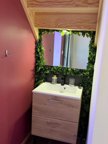 a bathroom with a sink and a mirror at L'écrin - Studio Cosy et Lumineux in Andance