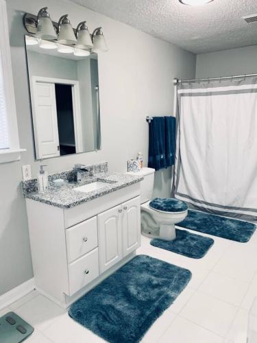 a bathroom with a sink and a toilet and a mirror at Hartsfield Jackson Escape in College Park