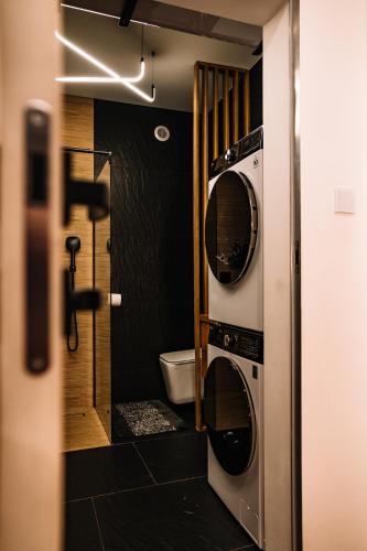 a bathroom with a washer and dryer in a room at Zakątek Lipowy Most in Lipowy Most
