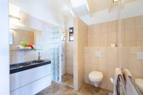 a bathroom with a toilet and a sink and a shower at Scuba Dream Villa 519 - Coral Estate in Willibrordus