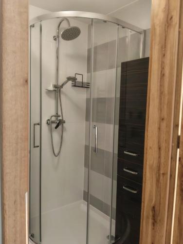 a shower with a glass door next to a black cabinet at Widlakówka in Rzepiska