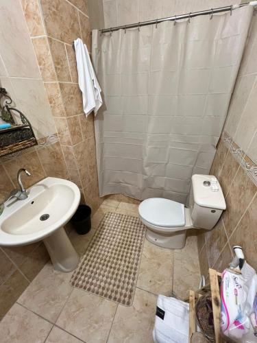 a bathroom with a sink and a toilet and a shower at Jad Apartment in irbid in Irbid