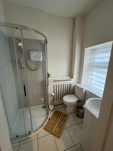 a bathroom with a shower and a toilet and a sink at Cosy Townhouse 2bedroom in Enniscorthy