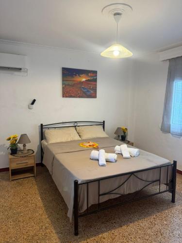 Beautiful and Remodeled Apartment 1A