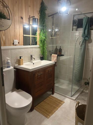 a bathroom with a toilet and a sink and a shower at La maison du bonheur 17 in Marans