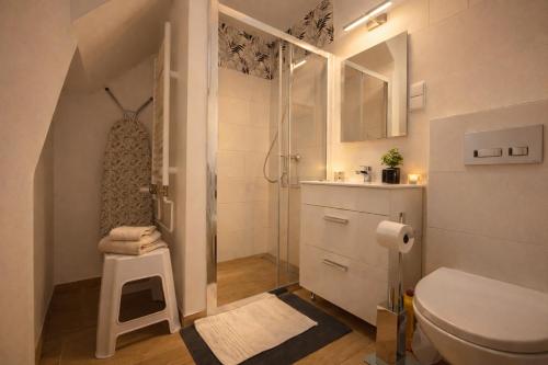 a bathroom with a shower and a toilet and a sink at Domek Przy Termach in Jelenia Góra