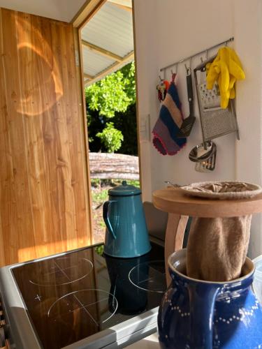 a kitchen counter with a blue vase on the stove at Casa Marion in Puerto Jiménez