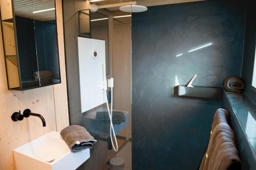 a bathroom with a sink and a glass shower at Tiny House Pioneer 5 - Green Tiny Spot Schillig in Wangerland