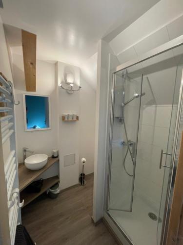 a bathroom with a glass shower and a sink at Gite Le Rebanchon in Le Monêtier-les-Bains