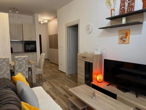 a living room with a couch and a flat screen tv at Modern Apartment with Balcony in Przno - Near Beach in Pržno