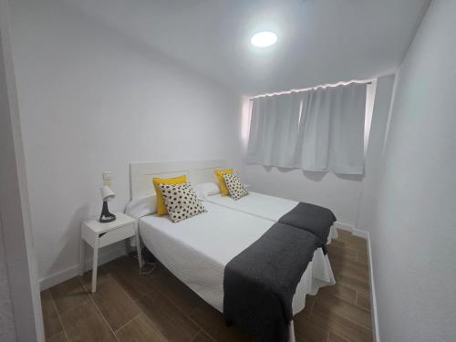 Comodoro 305B