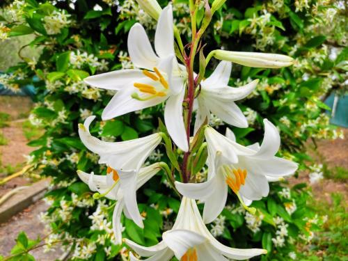 Katerina's Countryside and Sea House