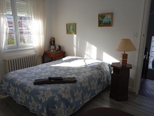 a bedroom with a bed with a blue blanket and a lamp at La maison de J et B étage entier in Tarbes