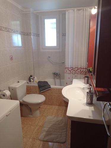 a bathroom with a toilet and a sink and a shower at SOUROTI Pinios House in Sourotí