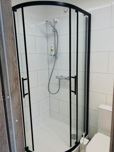 a shower with a glass enclosure in a bathroom at White Sun Apartment in Aizkraukle