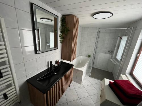 a bathroom with a sink and a shower and a mirror at Ferienhaus Kluttig in Hörnitz