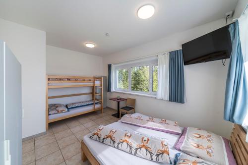 a bedroom with two beds and a window at Ferienwohnungen Hebalm in Pack