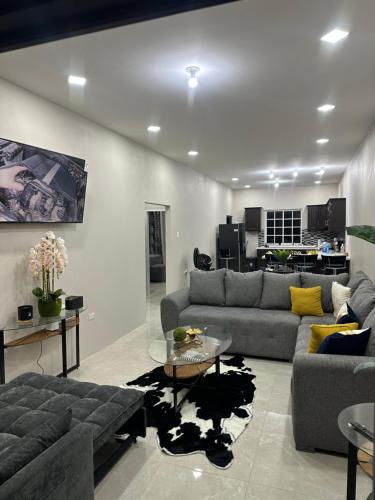 Teddys Suites
